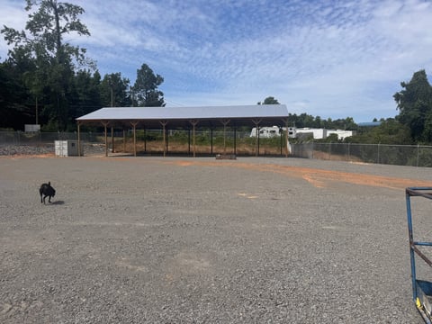 Horse grazing in a sandy arena with a covered structure and fencing in the background